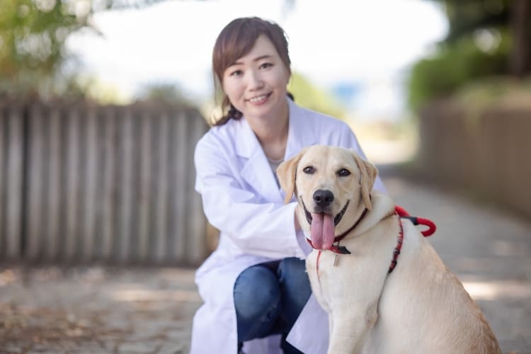 犬と女性獣医